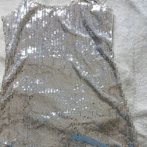 Free People Silver Sequin Top